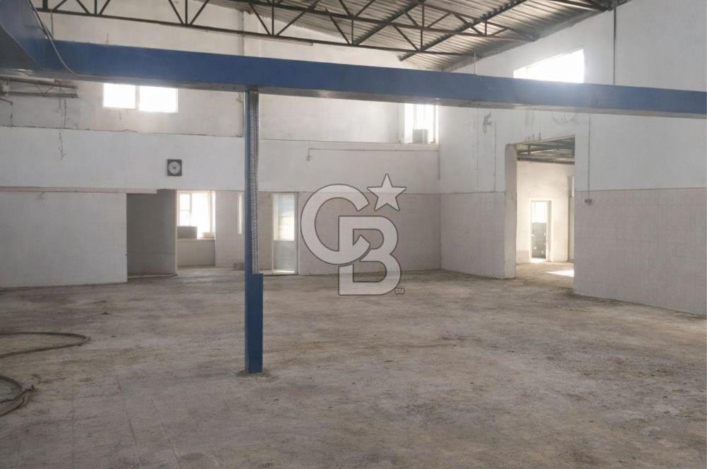 AYVALIKTA KİRALIK DEPO & FABRİKA BİNASI GENİŞ KULLANIM ALANI
