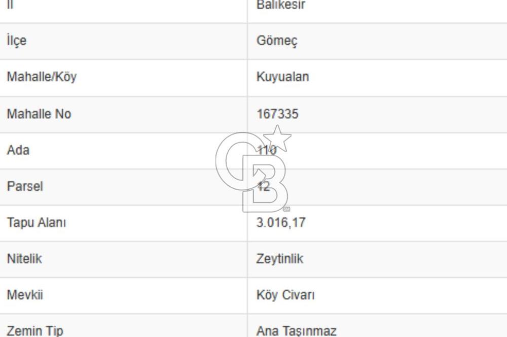 GÖMEÇ KUYUALAN KÖY İÇİNDE İMARLI 3.016 m² ZEYTİNLİK