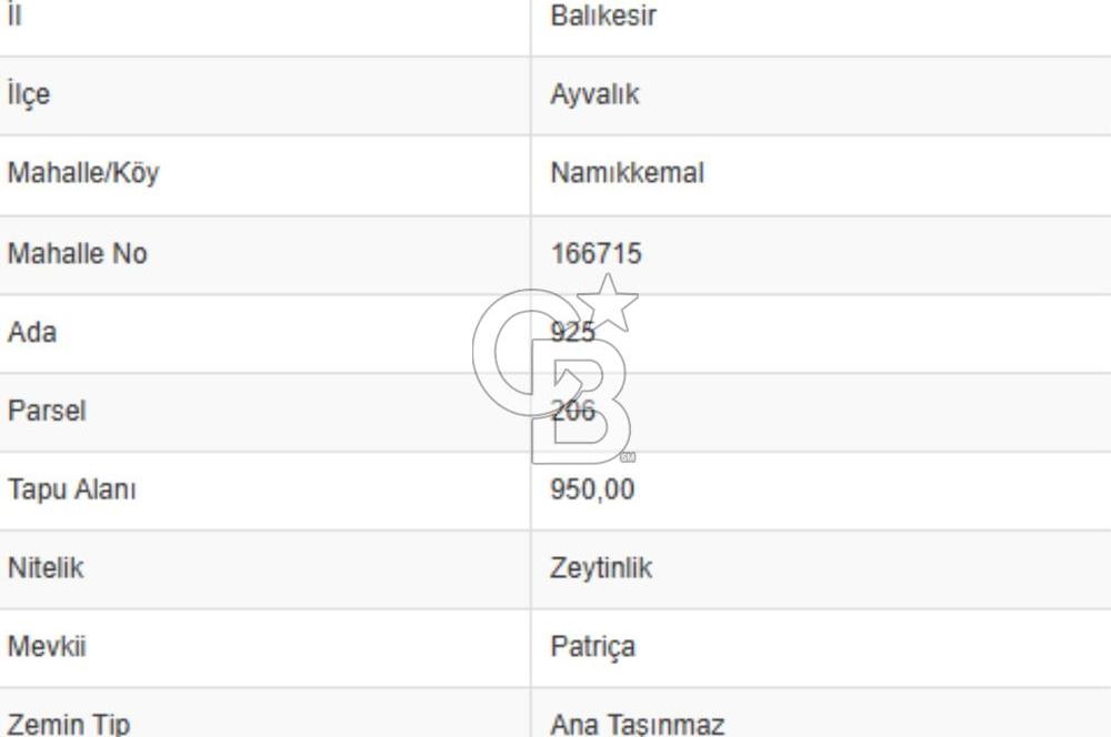 AYVALIK PATERİCA MEVKİİNDE ZEYTİNLİK