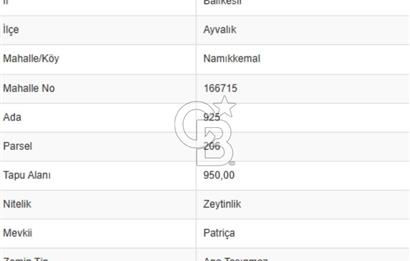 AYVALIK PATERİCA MEVKİİNDE ZEYTİNLİK