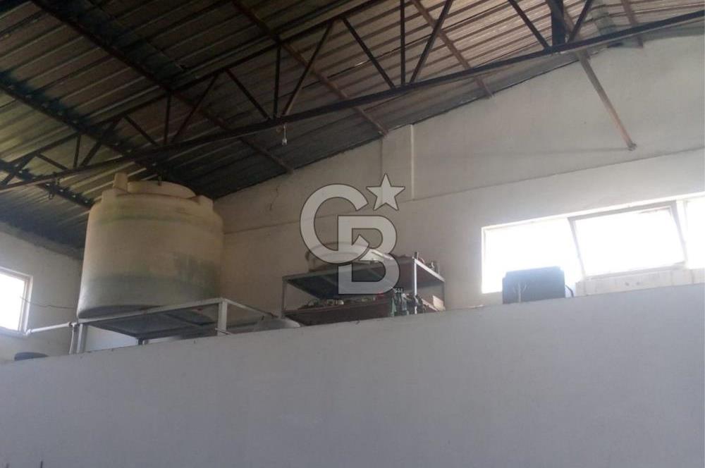 AYVALIKTA KİRALIK DEPO & FABRİKA BİNASI GENİŞ KULLANIM ALANI