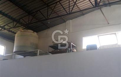 AYVALIKTA KİRALIK DEPO & FABRİKA BİNASI GENİŞ KULLANIM ALANI