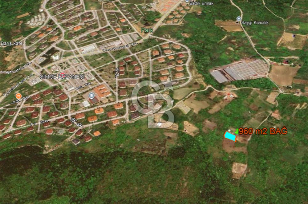 YALOVA ALTINOVA GEYİKDERE MÜSTAKİL TAPULU SATILIK BAĞ 960 m2!..