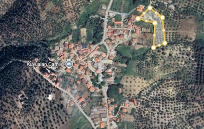 GÖMEÇ KUYUALAN KÖY İÇİNDE İMARLI 3.016 m² ZEYTİNLİK