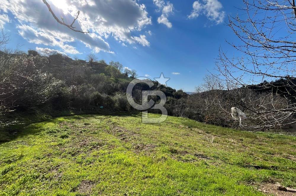 Kazdağları Eteklerinde Yatırımlık Fırsat! 903 m² Doğa İçinde Bahçe