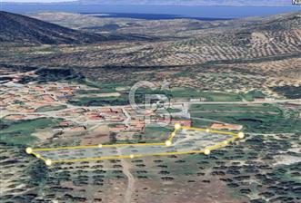 GÖMEÇ KUYUALAN KÖY İÇİNDE İMARLI 3.016 m² ZEYTİNLİK - 3 - 344960