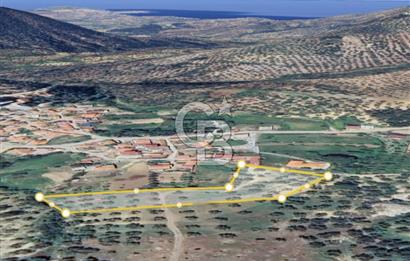 GÖMEÇ KUYUALAN KÖY İÇİNDE İMARLI 3.016 m² ZEYTİNLİK