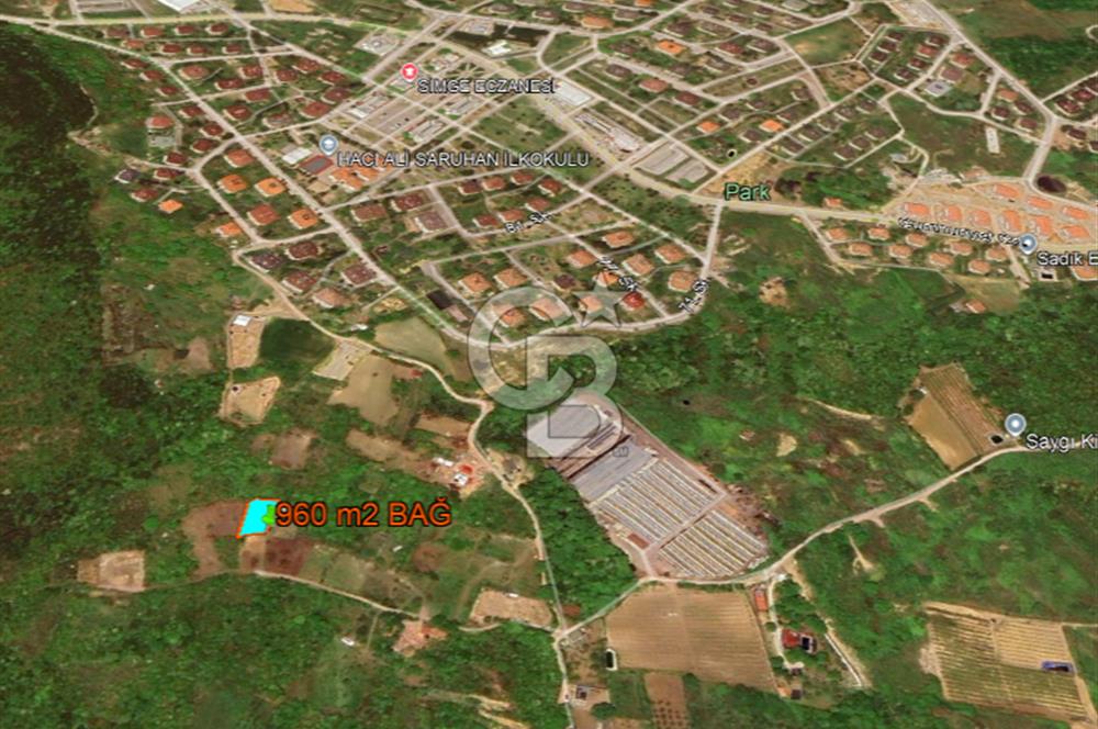 YALOVA ALTINOVA GEYİKDERE MÜSTAKİL TAPULU SATILIK BAĞ 960 m2!..