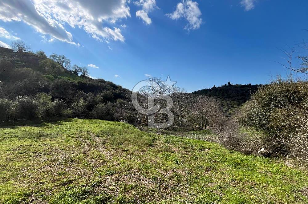 Kazdağları Eteklerinde Yatırımlık Fırsat! 903 m² Doğa İçinde Bahçe