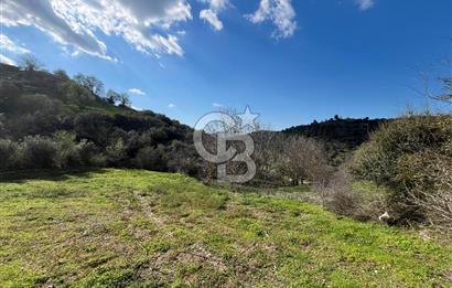 Kazdağları Eteklerinde Yatırımlık Fırsat! 903 m² Doğa İçinde Bahçe