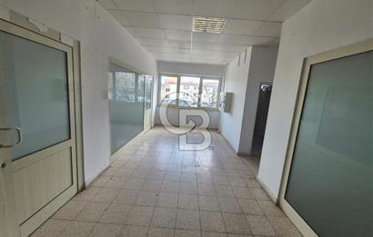 YALOVA ÇINARCIK KORUDA TABELA DEĞERİ YÜKSEK YATIRIMLIK DÜKKAN!..