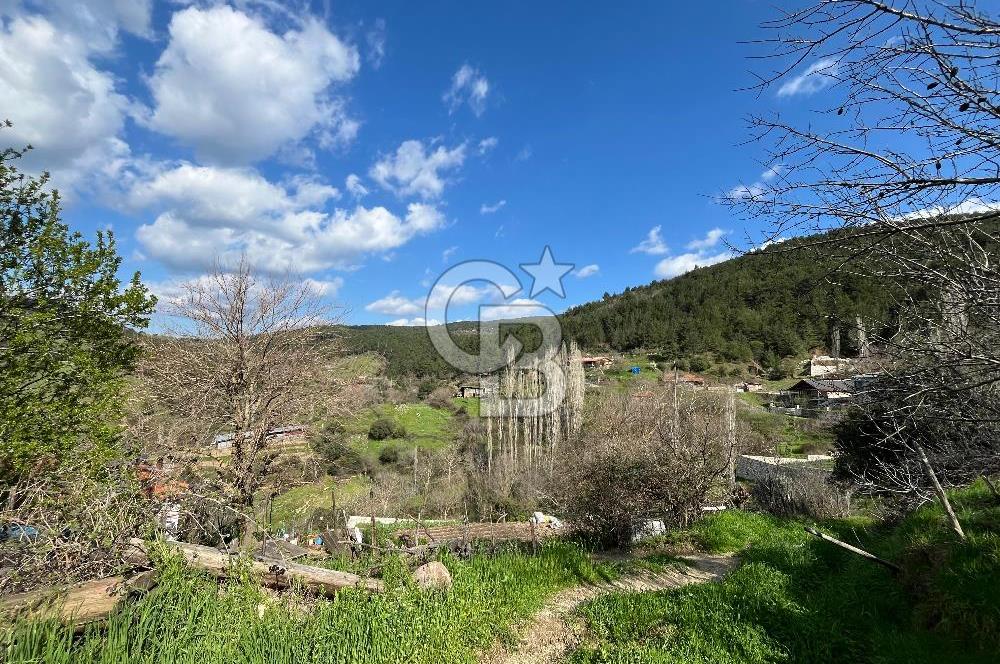 Kazdağları Eteklerinde Yatırımlık Fırsat! 903 m² Doğa İçinde Bahçe