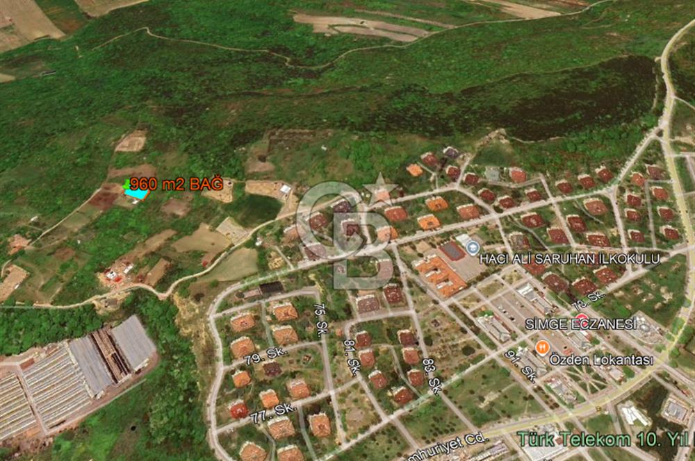 YALOVA ALTINOVA GEYİKDERE MÜSTAKİL TAPULU SATILIK BAĞ 960 m2!..