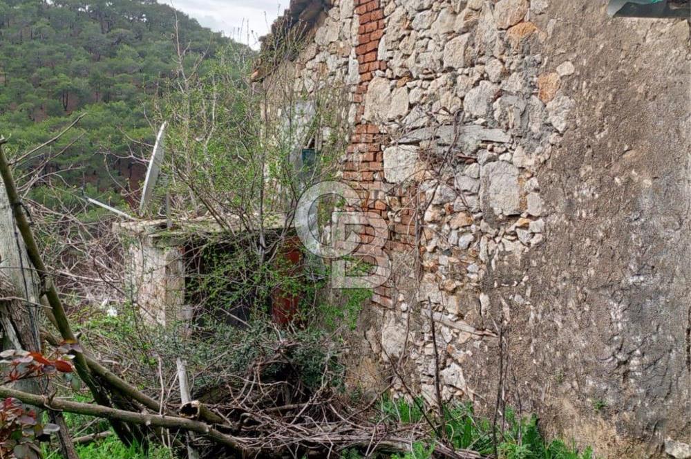 BURHANİYE SARILAR & DAMLALI MAHALLESİNDE KÖY İÇİ TAŞ EV VE ARSA