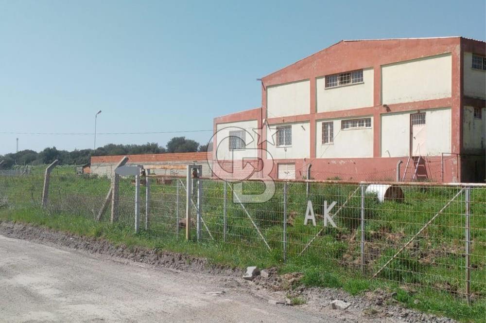 AYVALIKTA KİRALIK DEPO & FABRİKA BİNASI GENİŞ KULLANIM ALANI