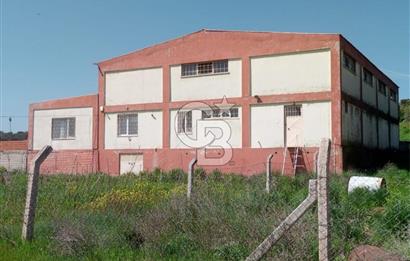 AYVALIKTA KİRALIK DEPO & FABRİKA BİNASI GENİŞ KULLANIM ALANI