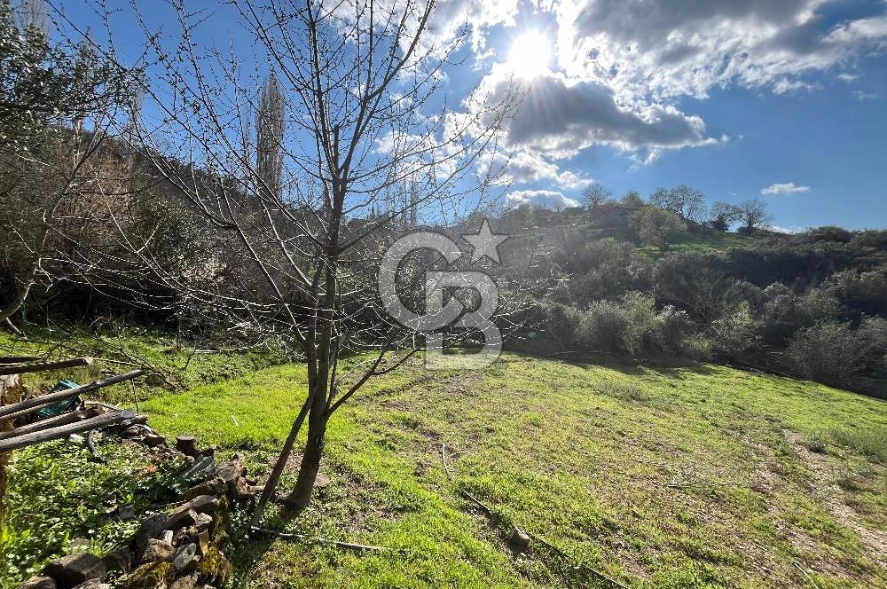 Kazdağları Eteklerinde Yatırımlık Fırsat! 903 m² Doğa İçinde Bahçe