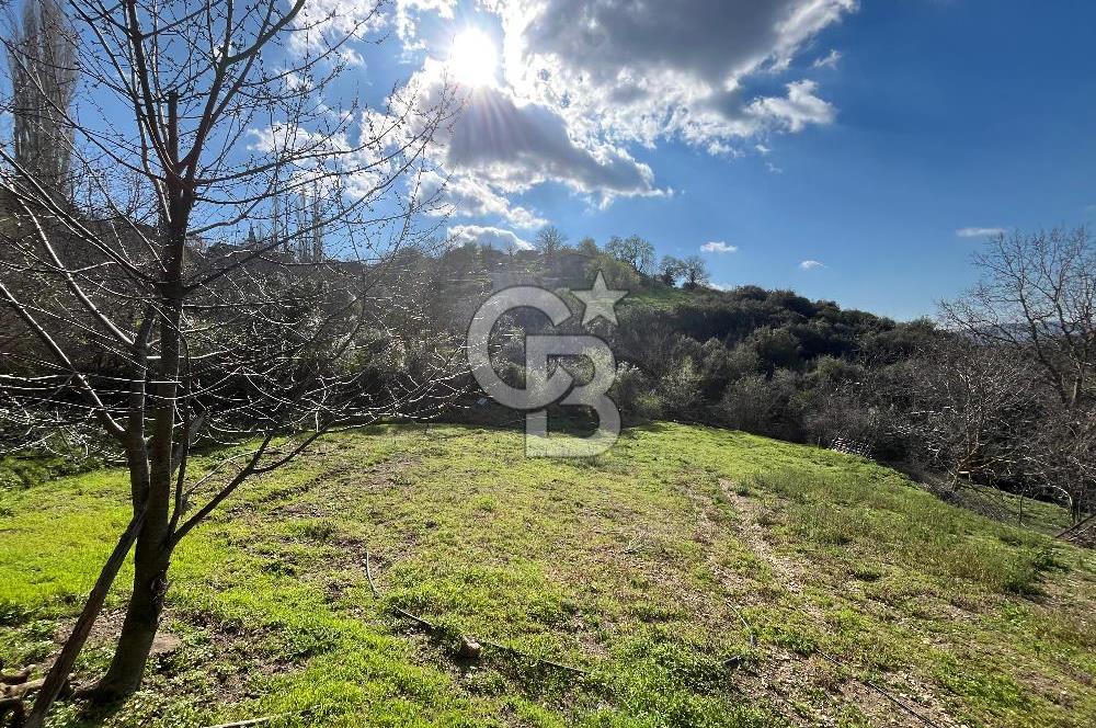 Kazdağları Eteklerinde Yatırımlık Fırsat! 903 m² Doğa İçinde Bahçe