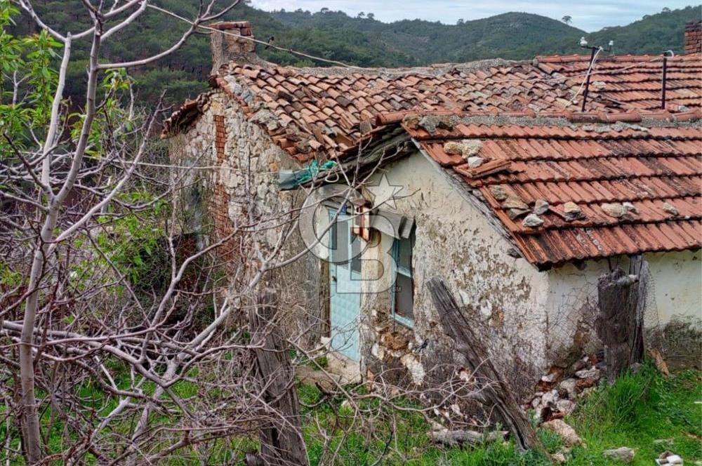 BURHANİYE SARILAR & DAMLALI MAHALLESİNDE KÖY İÇİ TAŞ EV VE ARSA