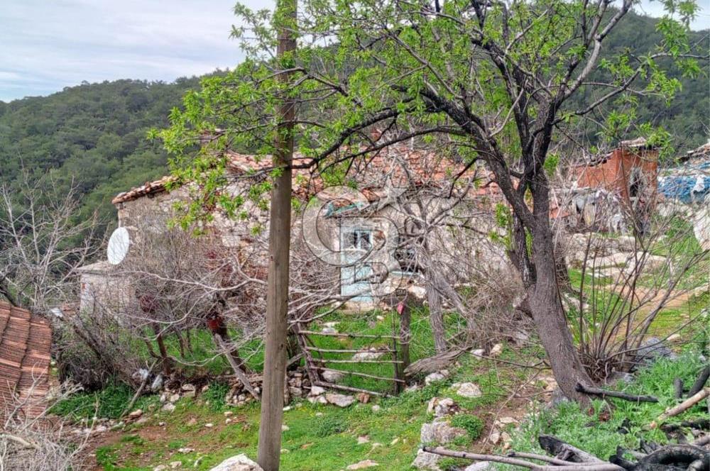 BURHANİYE SARILAR & DAMLALI MAHALLESİNDE KÖY İÇİ TAŞ EV VE ARSA