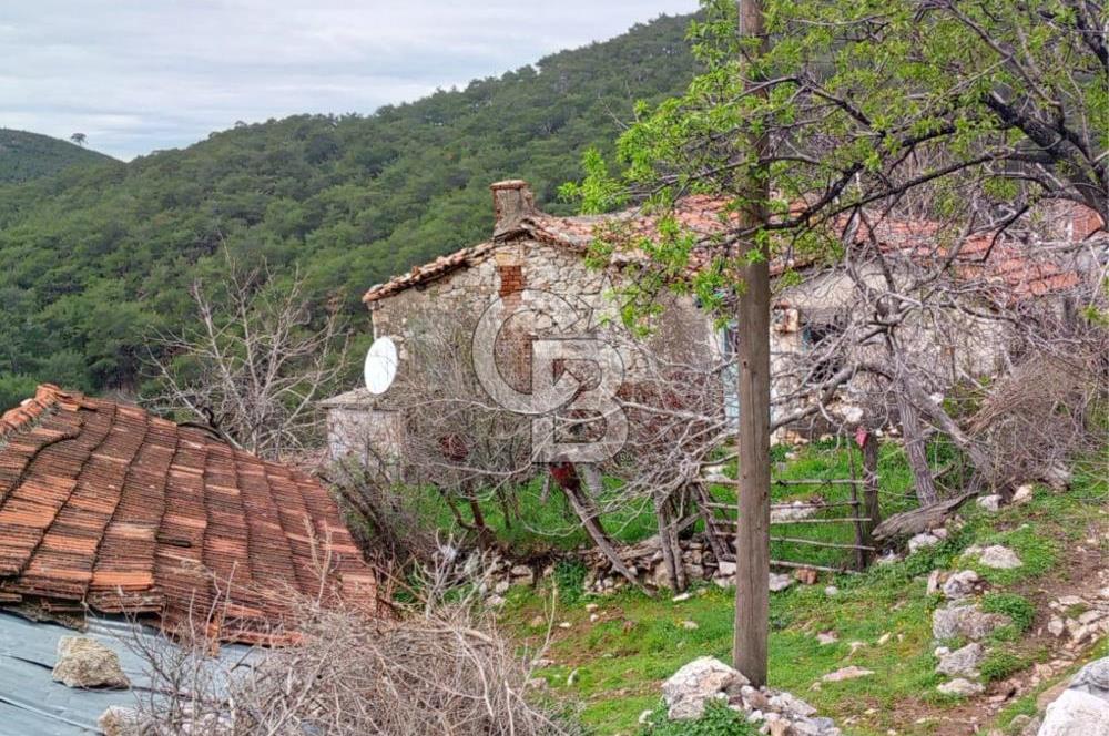 BURHANİYE SARILAR & DAMLALI MAHALLESİNDE KÖY İÇİ TAŞ EV VE ARSA