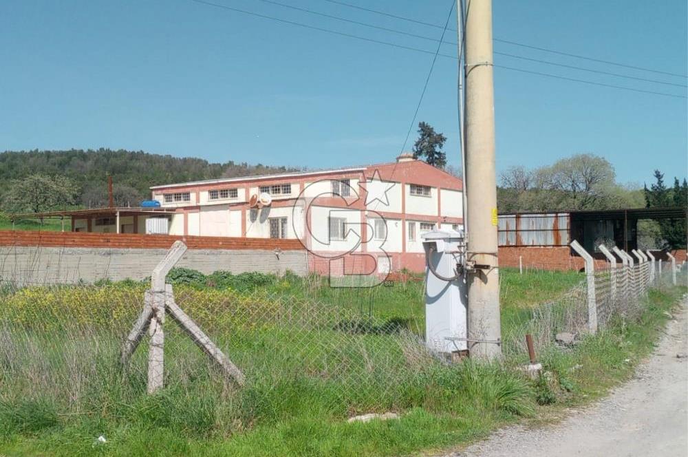 AYVALIKTA KİRALIK DEPO & FABRİKA BİNASI GENİŞ KULLANIM ALANI