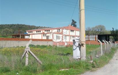 AYVALIKTA KİRALIK DEPO & FABRİKA BİNASI GENİŞ KULLANIM ALANI