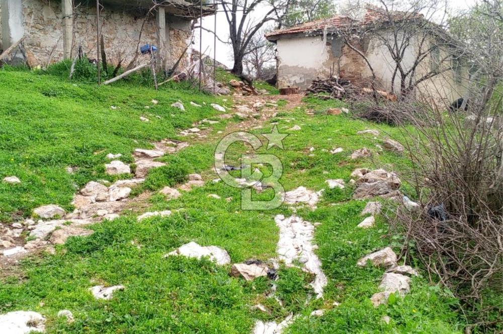 BURHANİYE SARILAR & DAMLALI MAHALLESİNDE KÖY İÇİ TAŞ EV VE ARSA