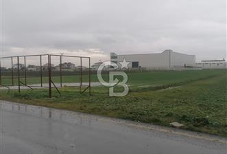 Tekirdağ Ergene Marmaracık'ta Satılık 3100 M2 Sanayi Arsası - 1 - 344971