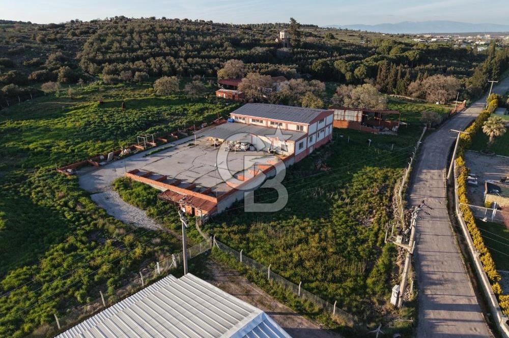 AYVALIKTA KİRALIK DEPO & FABRİKA BİNASI GENİŞ KULLANIM ALANI