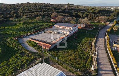 AYVALIKTA KİRALIK DEPO & FABRİKA BİNASI GENİŞ KULLANIM ALANI