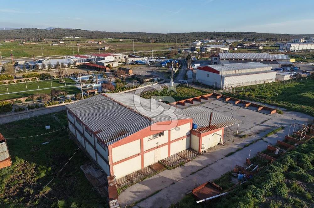 AYVALIKTA KİRALIK DEPO & FABRİKA BİNASI GENİŞ KULLANIM ALANI