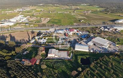 AYVALIKTA KİRALIK DEPO & FABRİKA BİNASI GENİŞ KULLANIM ALANI