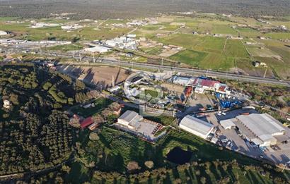 AYVALIKTA KİRALIK DEPO & FABRİKA BİNASI GENİŞ KULLANIM ALANI