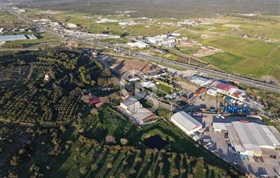 AYVALIKTA KİRALIK DEPO & FABRİKA BİNASI GENİŞ KULLANIM ALANI