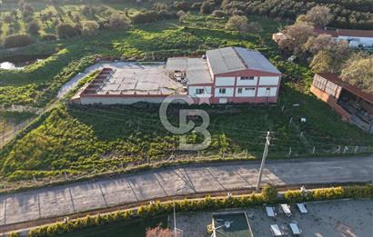 AYVALIKTA KİRALIK DEPO & FABRİKA BİNASI GENİŞ KULLANIM ALANI