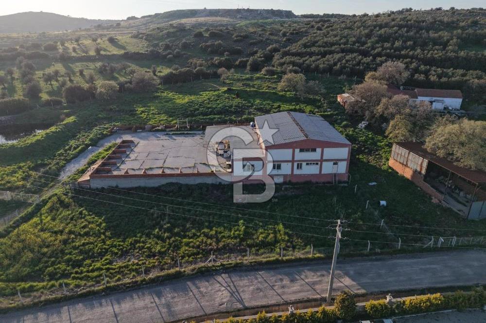 AYVALIKTA KİRALIK DEPO & FABRİKA BİNASI GENİŞ KULLANIM ALANI