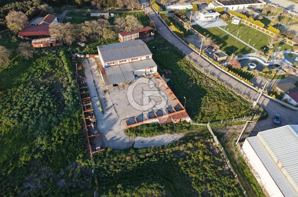 AYVALIKTA KİRALIK DEPO & FABRİKA BİNASI GENİŞ KULLANIM ALANI