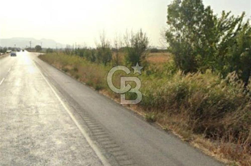 AYVALIK ALTINOVADA SATILIK 1005 m² HİSSELİ ARSA YATIRIM FIRSATI