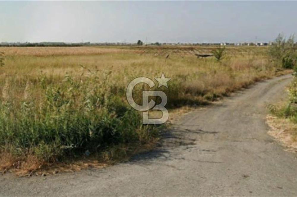 AYVALIK ALTINOVADA SATILIK 1005 m² HİSSELİ ARSA YATIRIM FIRSATI