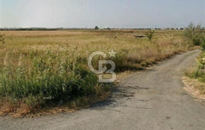 AYVALIK ALTINOVADA SATILIK 1005 m² HİSSELİ ARSA YATIRIM FIRSATI