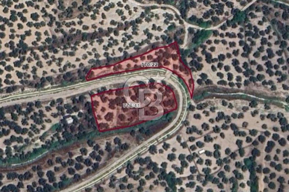 AYVALIK KAZIMKARABEKİRDE YANYANA 2 PARSEL ZEYTİNLİK