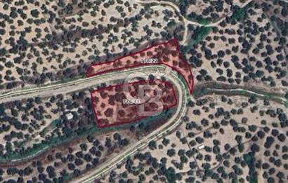 AYVALIK KAZIMKARABEKİRDE YANYANA 2 PARSEL ZEYTİNLİK