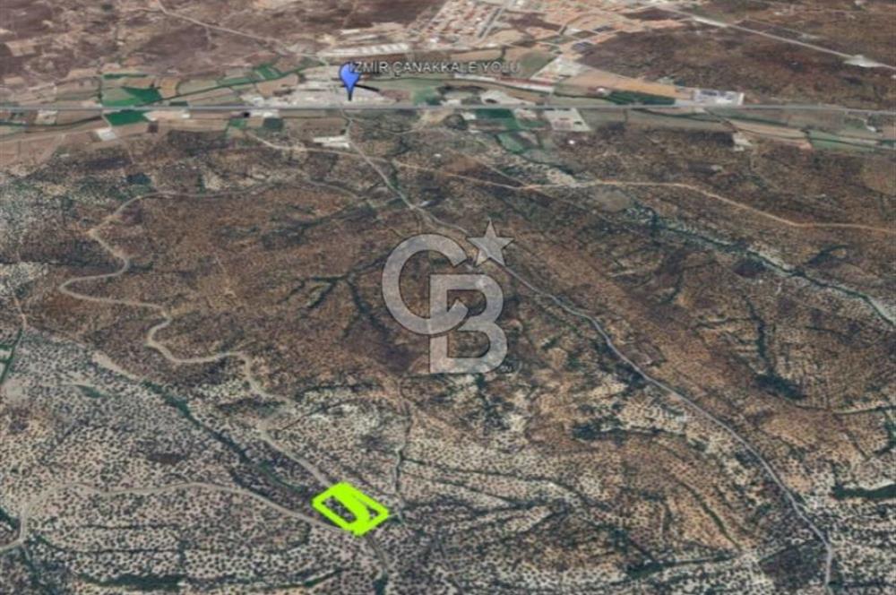 AYVALIK KAZIMKARABEKİRDE YANYANA 2 PARSEL ZEYTİNLİK