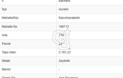 AYVALIK KAZIMKARABEKİRDE YANYANA 2 PARSEL ZEYTİNLİK