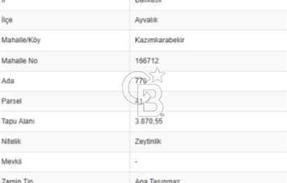 AYVALIK KAZIMKARABEKİRDE YANYANA 2 PARSEL ZEYTİNLİK