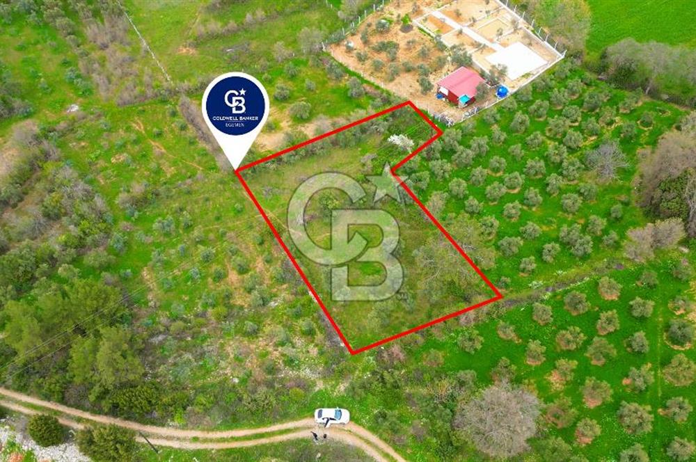 MENTEŞE YERKESİK'TE 1327 M2 SATILIK İMAR SINIRINDA TARLA