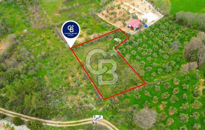 MENTEŞE YERKESİK'TE 1327 M2 SATILIK İMAR SINIRINDA TARLA