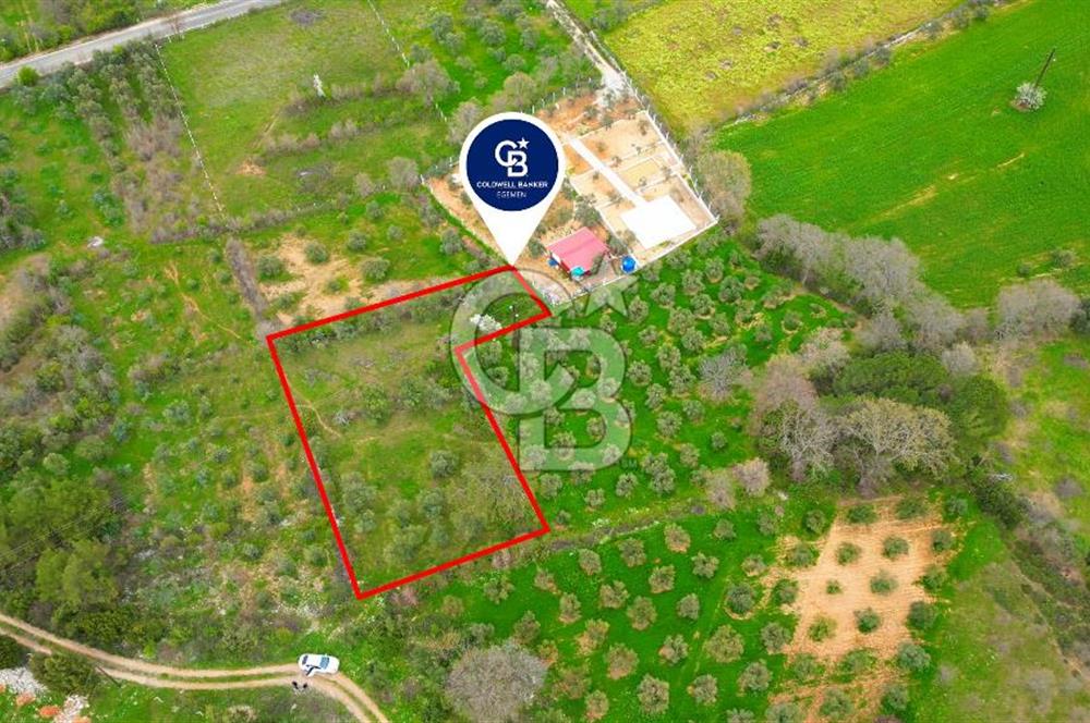 MENTEŞE YERKESİK'TE 1327 M2 SATILIK İMAR SINIRINDA TARLA