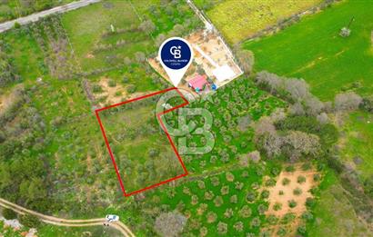 MENTEŞE YERKESİK'TE 1327 M2 SATILIK İMAR SINIRINDA TARLA